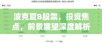 波克夏B股票，投資焦點，前景展望深度解析