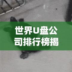 世界U盤公司排行榜揭曉，行業(yè)巨頭一覽無余！