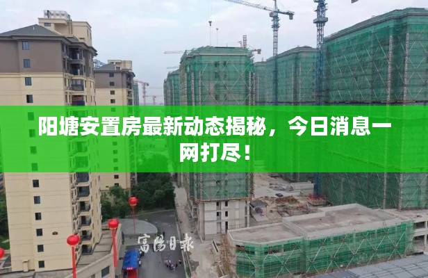 陽塘安置房最新動(dòng)態(tài)揭秘，今日消息一網(wǎng)打盡！