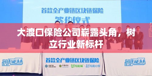 大渡口保險公司嶄露頭角，樹立行業(yè)新標桿
