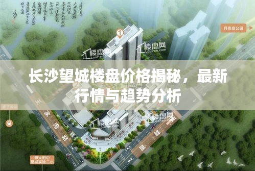 長(zhǎng)沙望城樓盤價(jià)格揭秘，最新行情與趨勢(shì)分析
