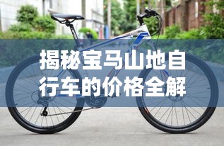 揭秘寶馬山地自行車的價(jià)格全解析！