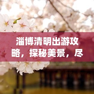 淄博清明出游攻略，探秘美景，盡享文化盛宴！