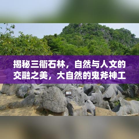 揭秘三衢石林，自然與人文的交融之美，大自然的鬼斧神工欣賞