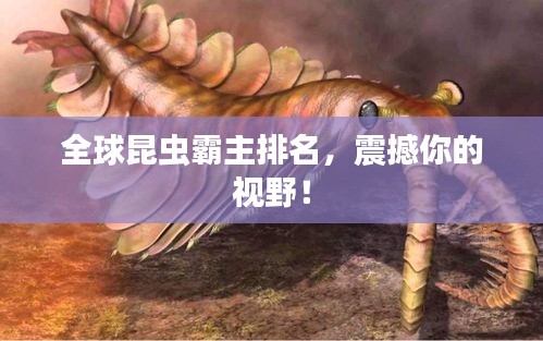 全球昆蟲霸主排名，震撼你的視野！