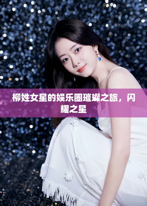 柳姓女星的娛樂(lè)圈璀璨之旅，閃耀之星