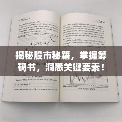 揭秘股市秘籍，掌握籌碼書(shū)，洞悉關(guān)鍵要素！