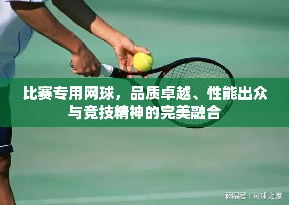 比賽專用網(wǎng)球，品質(zhì)卓越、性能出眾與競技精神的完美融合