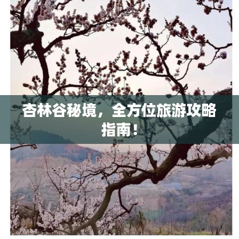 杏林谷秘境，全方位旅游攻略指南！