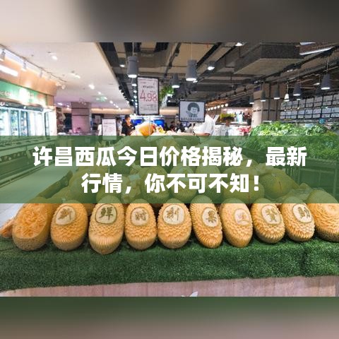 許昌西瓜今日價(jià)格揭秘，最新行情，你不可不知！