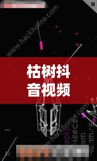 枯樹(shù)抖音視頻，探索最新版視頻世界，體驗(yàn)獨(dú)特魅力