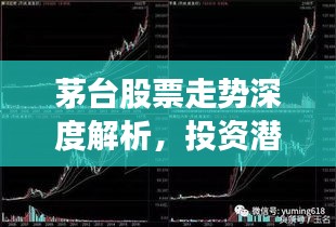 茅臺(tái)股票走勢(shì)深度解析，投資潛力與風(fēng)險(xiǎn)洞察
