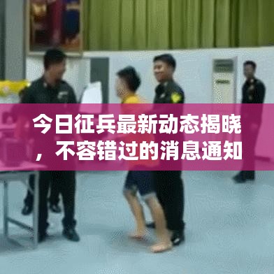 今日征兵最新動(dòng)態(tài)揭曉，不容錯(cuò)過(guò)的消息通知！