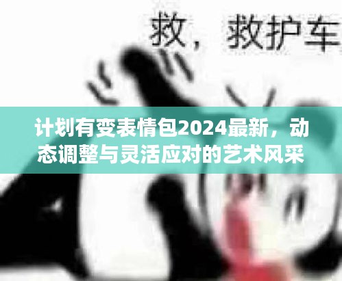 計(jì)劃有變表情包2024最新，動態(tài)調(diào)整與靈活應(yīng)對的藝術(shù)風(fēng)采