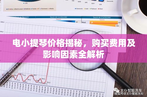 電小提琴價(jià)格揭秘，購買費(fèi)用及影響因素全解析