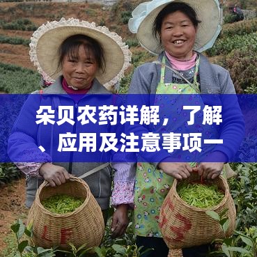 朵貝農(nóng)藥詳解，了解、應(yīng)用及注意事項(xiàng)一網(wǎng)打盡