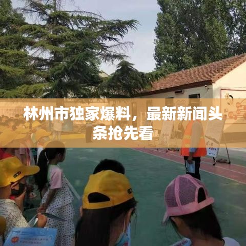 林州市獨家爆料，最新新聞頭條搶先看
