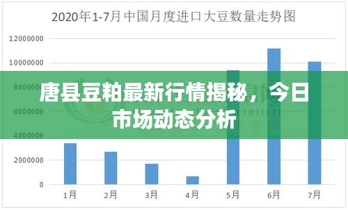 唐縣豆粕最新行情揭秘，今日市場動態(tài)分析
