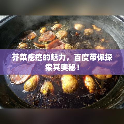 芥菜疙瘩的魅力，百度帶你探索其奧秘！