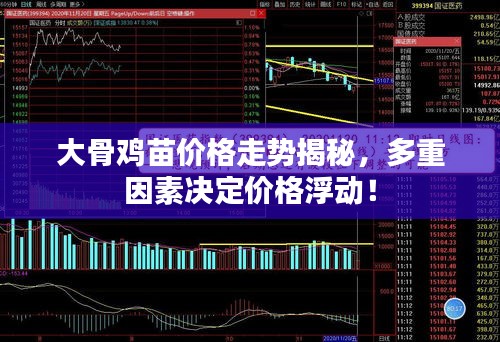 大骨雞苗價(jià)格走勢揭秘，多重因素決定價(jià)格浮動！