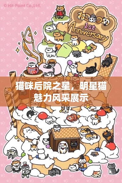 貓咪后院之星，明星貓魅力風(fēng)采展示