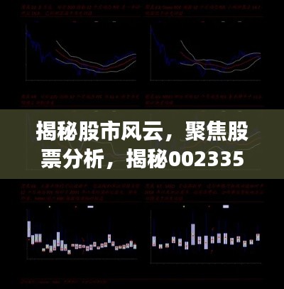 揭秘股市風(fēng)云，聚焦股票分析，揭秘002335股票動態(tài)與前景展望