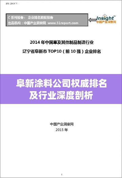 阜新涂料公司權(quán)威排名及行業(yè)深度剖析