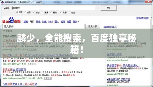 麟少，全能搜索，百度獨(dú)享秘籍！