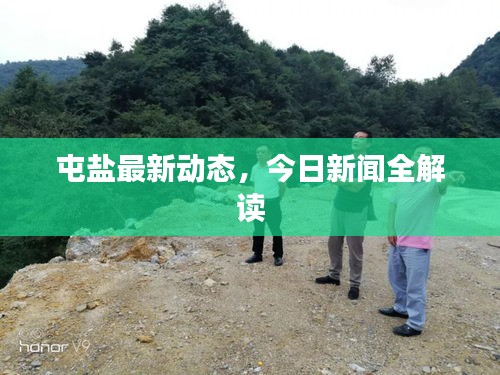 屯鹽最新動(dòng)態(tài)，今日新聞全解讀