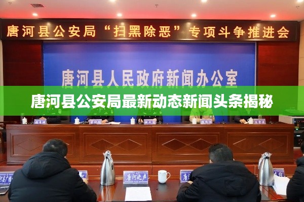 唐河縣公安局最新動(dòng)態(tài)新聞?lì)^條揭秘