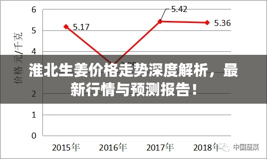 淮北生姜價(jià)格走勢(shì)深度解析，最新行情與預(yù)測(cè)報(bào)告！