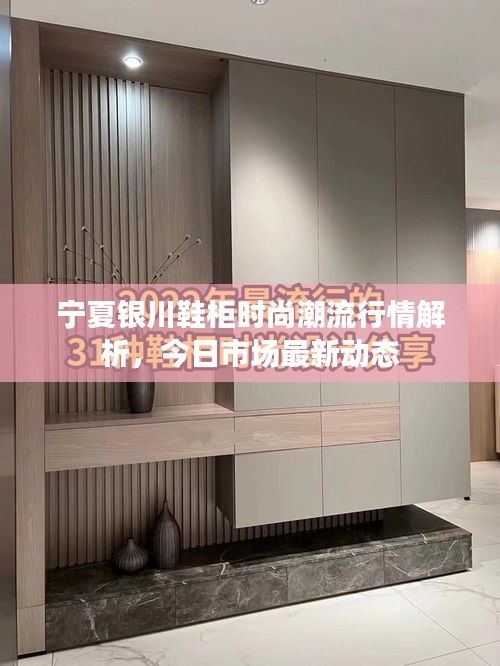 寧夏銀川鞋柜時尚潮流行情解析，今日市場最新動態(tài)