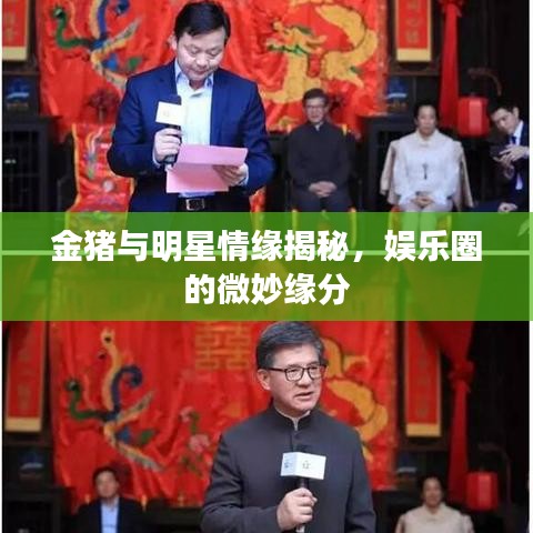 金豬與明星情緣揭秘，娛樂圈的微妙緣分