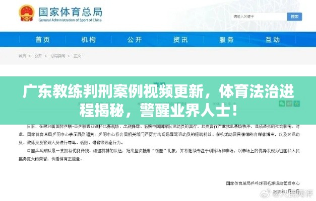 廣東教練判刑案例視頻更新，體育法治進(jìn)程揭秘，警醒業(yè)界人士！