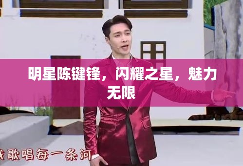 明星陳鍵鋒，閃耀之星，魅力無限