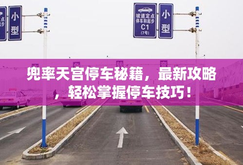兜率天宮停車秘籍，最新攻略，輕松掌握停車技巧！