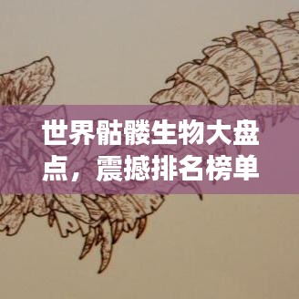 世界骷髏生物大盤點(diǎn)，震撼排名榜單