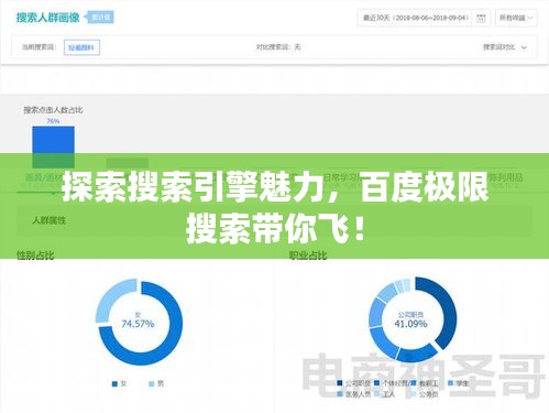 探索搜索引擎魅力，百度極限搜索帶你飛！