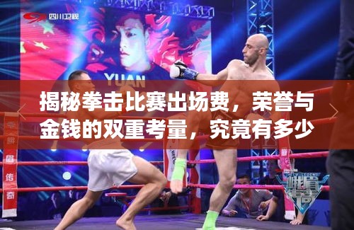 揭秘拳擊比賽出場費(fèi)，榮譽(yù)與金錢的雙重考量，究竟有多少？