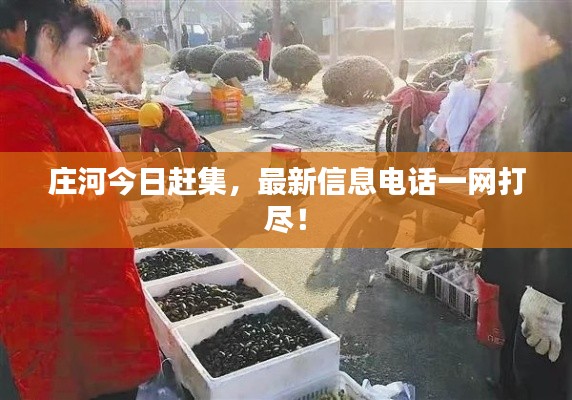 莊河今日趕集，最新信息電話一網(wǎng)打盡！