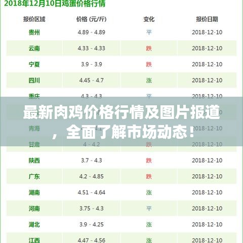 招標(biāo)采購(gòu) 第8頁(yè)