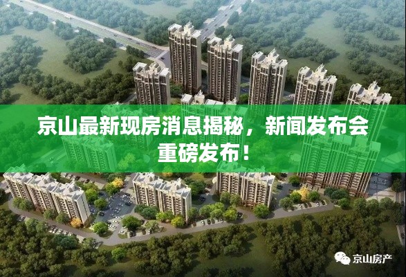 京山最新現(xiàn)房消息揭秘，新聞發(fā)布會重磅發(fā)布！