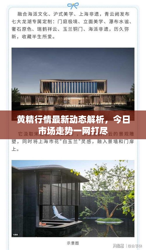 黃精行情最新動(dòng)態(tài)解析，今日市場(chǎng)走勢(shì)一網(wǎng)打盡